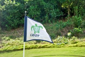 Cabot Saint Lucia (Point Hardy) Flag